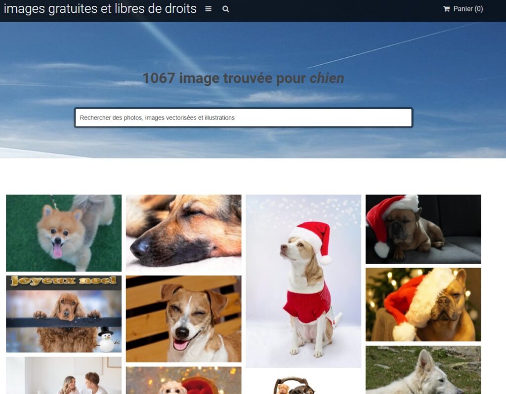 Fotomedia exemple avec des images de chiens